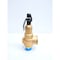 Kunkle 2986LBS/HR 30PSI 2IN NPT RELIEF VALVE 6010JHM01AAM - alternate 2